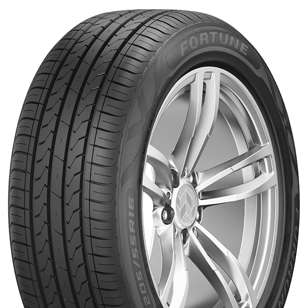 205/55R16 91V FSR-802 Fortune