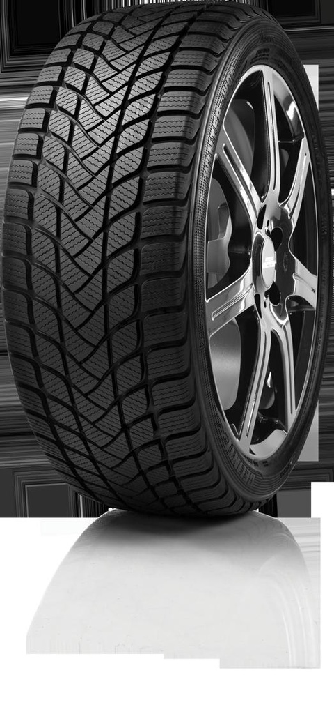 205/50R17 93H DELINTE WINTER WD6