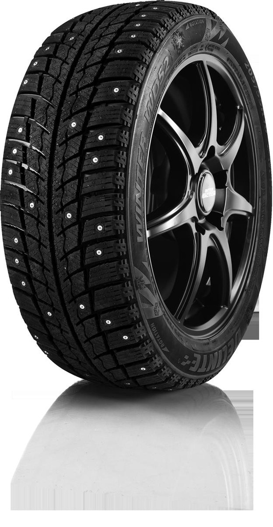 205/55R16 91T DELINTE WINTER WD52