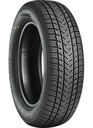 175/65R17 87V GRIPMAX SUREGRIP EWINTER